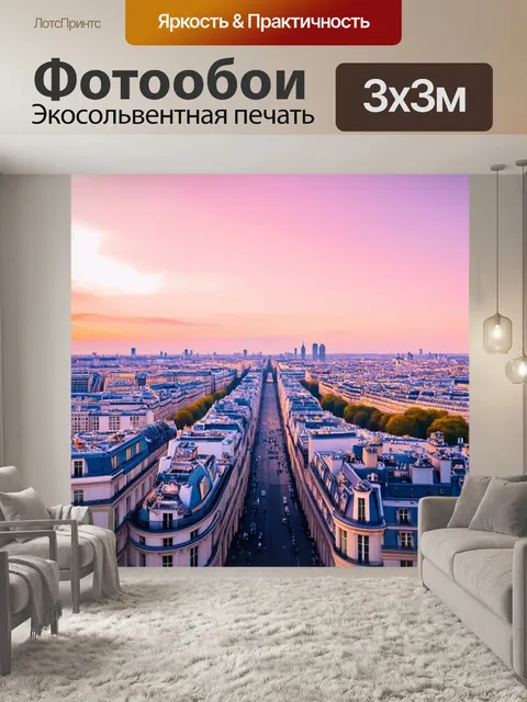 Фотообои прекрасный вид на париж с крыши одного из зданий на рассвете, когда город медленно пробуждается
