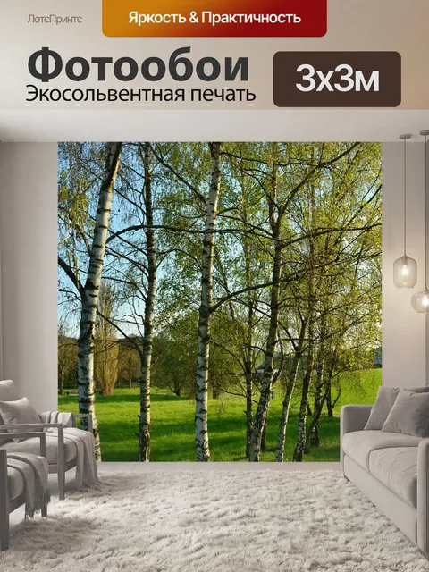 Фотообои Березы