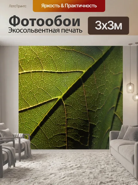 Фотообои Зеленый