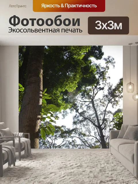 Фотообои Борнео
