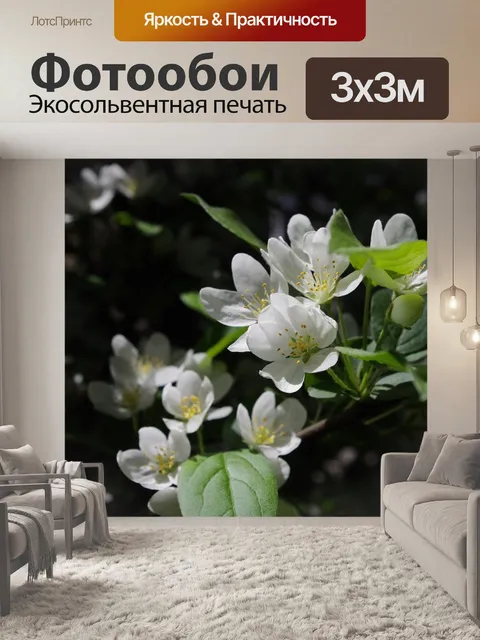 Фотообои Цветы