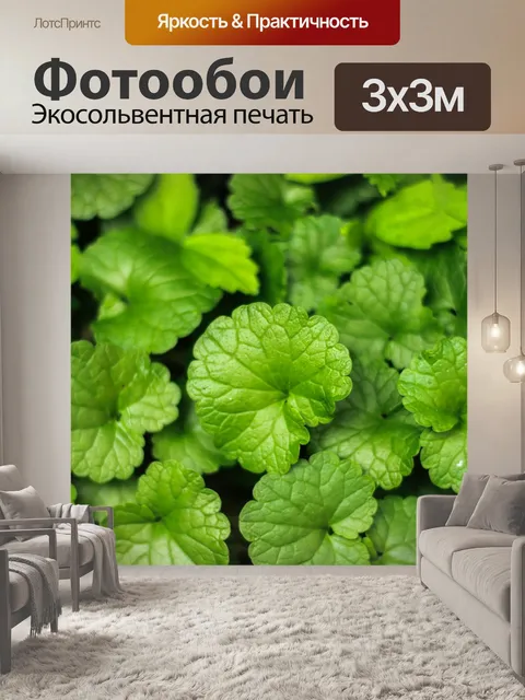 Фотообои Листья