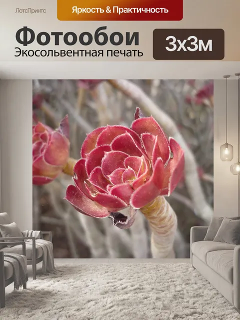 Фотообои Цветок