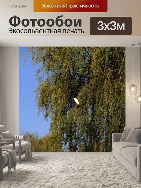 Фотообои Лес
