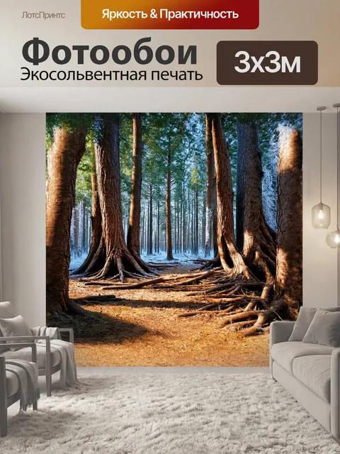 Фотообои лес победы, застывший во времени возле чернобыльской зоны