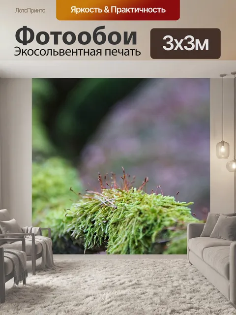 Фотообои Мох