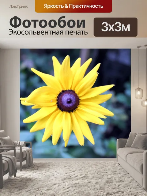 Фотообои фиолетовый и желтый цветок ромашки