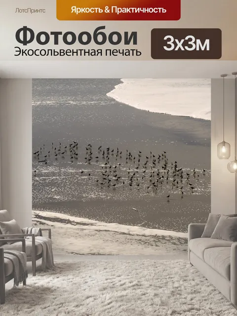 Фотообои Птицы на пляже