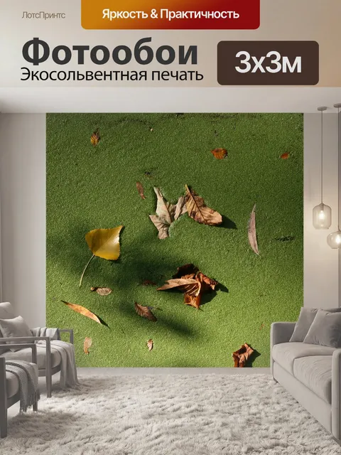 Фотообои Падение