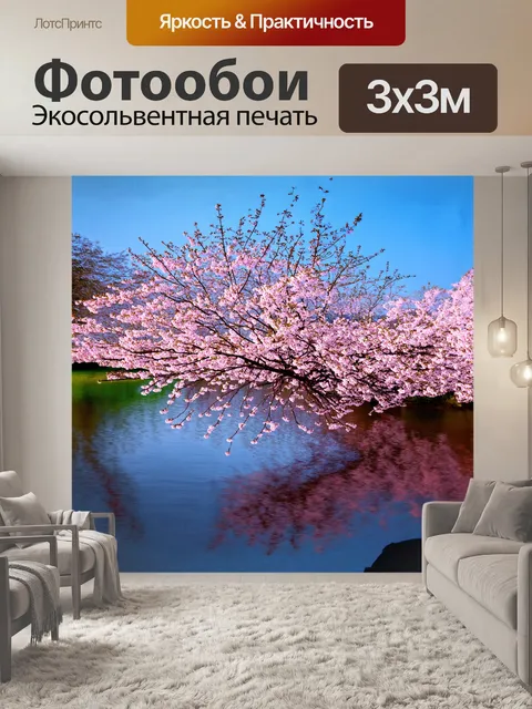 Фотообои удивительное дерево сакуры величественно осеняет тихую пруд с отражением своих цветущих веток на воде