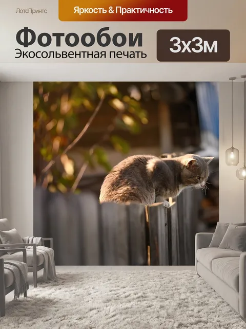 Фотообои Кошка