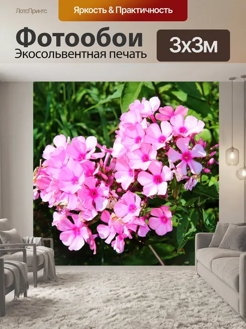 Фотообои Расцветает