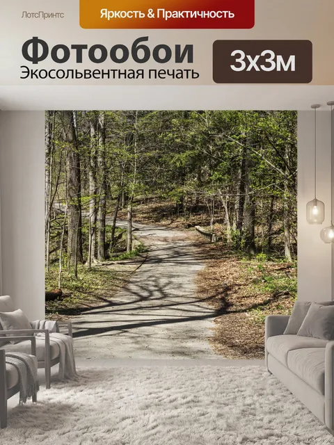 Фотообои Лесная тропа