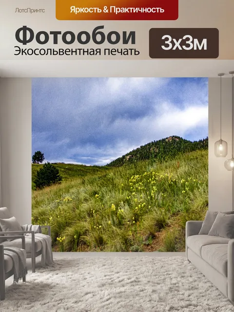 Фотообои поле в горах