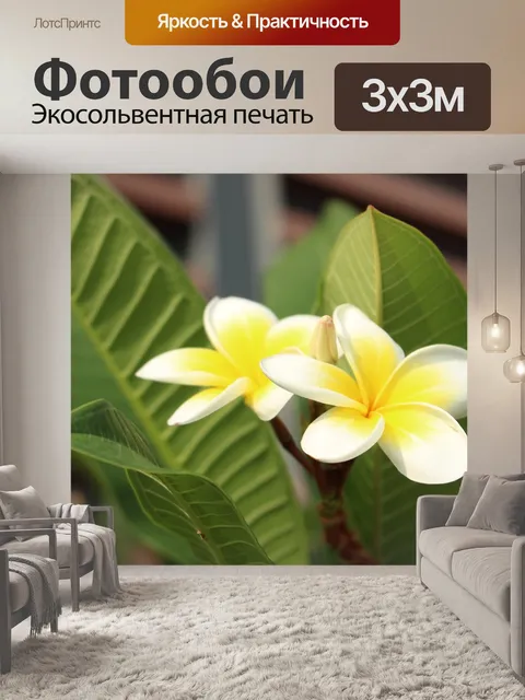 Фотообои Цветы