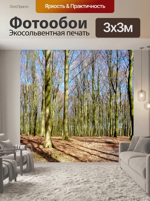 Фотообои Лес