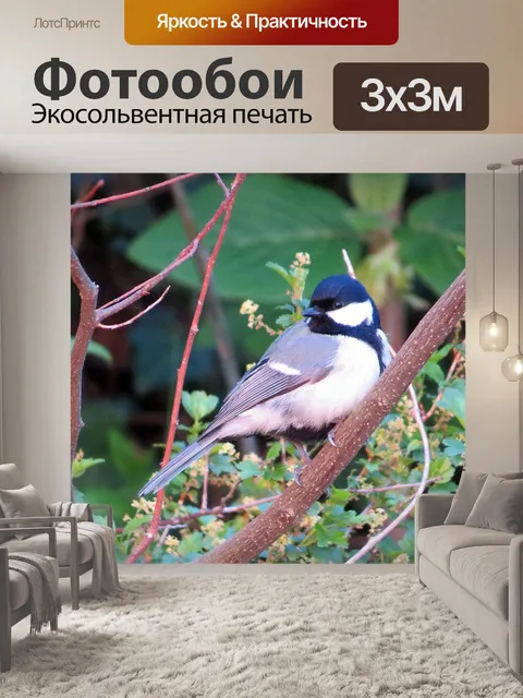 Фотообои Мои