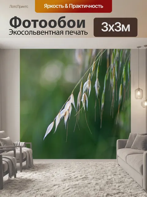 Фотообои Травы