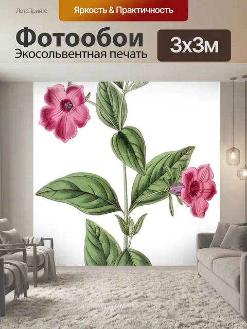 Фотообои Петуния Цветок Винтаж Искусство