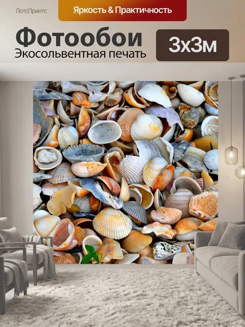 Фотообои Фон морских раковин