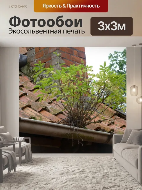 Фотообои Природа