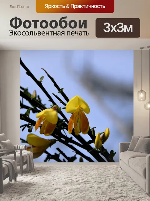 Фотообои Желтые цветы Горох