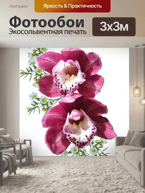 Фотообои Орхидеи