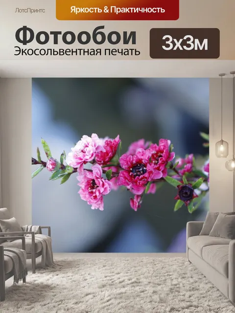 Фотообои Цветы