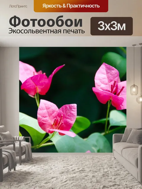 Фотообои Орхидеи