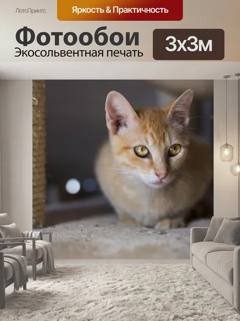 Фотообои Кошка