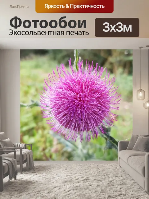 Фотообои Природа