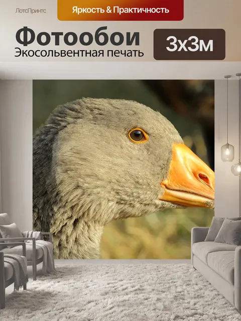 Фотообои Гусь