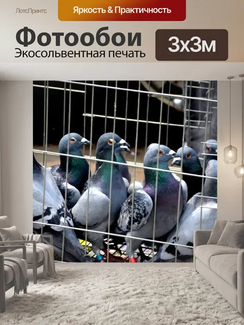 Фотообои Почтовые голуби