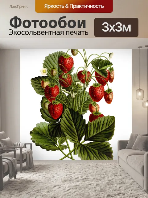 Фотообои Клубника фрукты старинное искусство