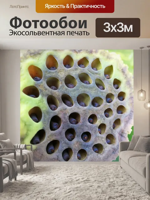 Фотообои Природа