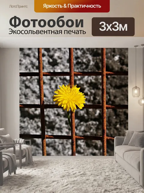 Фотообои Маргаритка