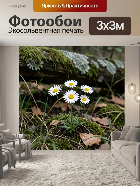 Фотообои Луговые ромашки среди мха