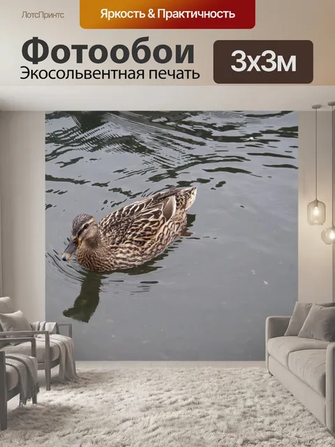 Фотообои Женская кряква