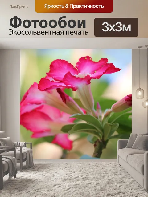 Фотообои Увлекательно