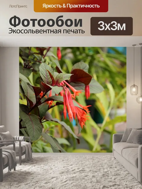 Фотообои Цветы