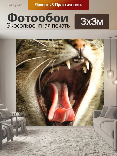 Фотообои Кошка