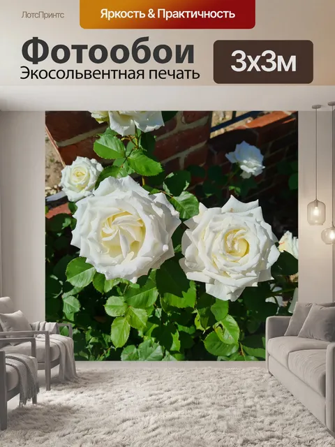 Фотообои Пара белых бенгальских роз