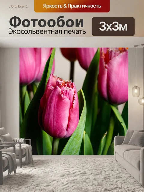 Фотообои Тюльпаны