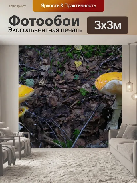 Фотообои Лес