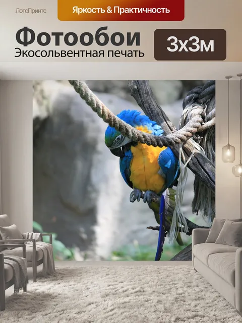 Фотообои Птица