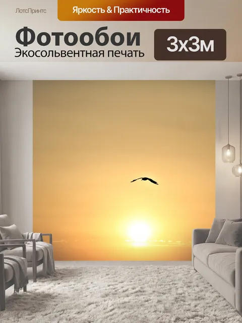 Фотообои Полет на закате