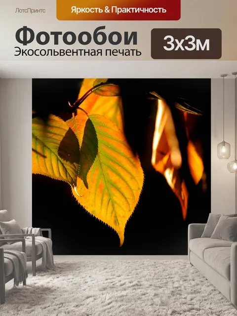 Фотообои Падение