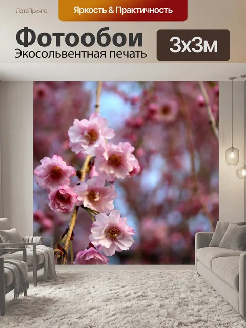 Фотообои Вишни в цвету