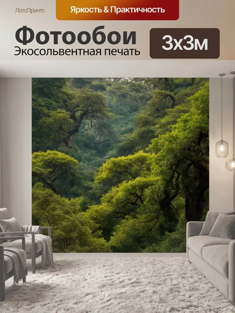 Фотообои китай: старинный лавровый лес, разрастающийся по долине, создающий атмосферу волшебных мест