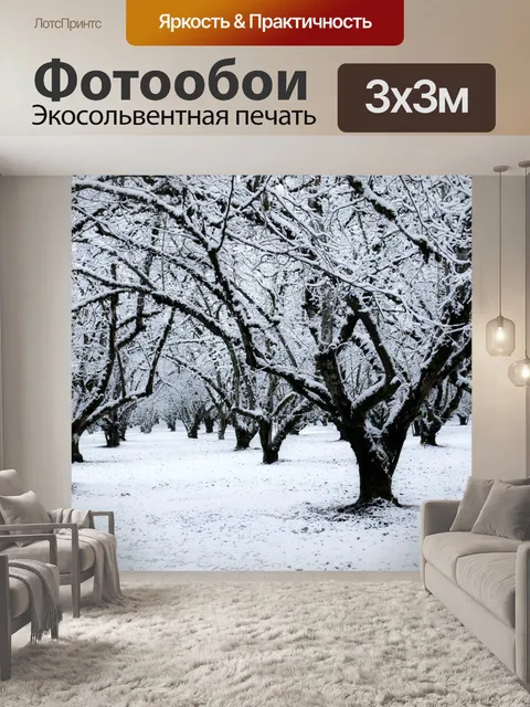 Фотообои зима